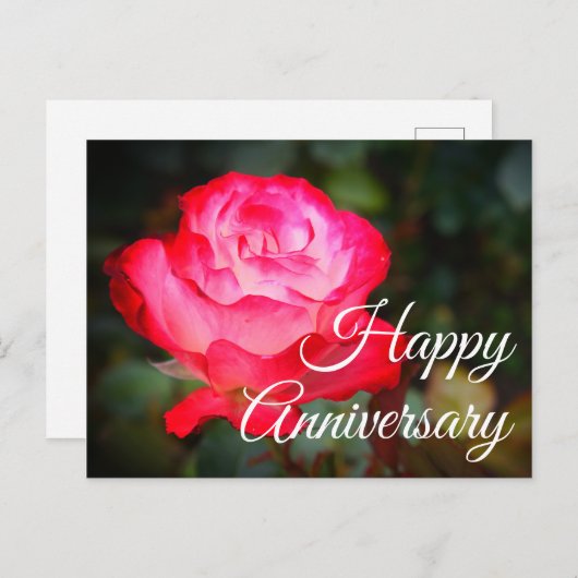 Cherry Parfait Rose #3 Postkarte (Vorne/Hinten)