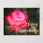 Cherry Parfait Rose #3 Postkarte (Vorderseite)