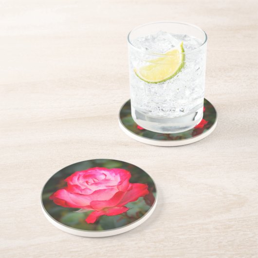 Cherry Parfait Rose #3 Sandstone Untersetzer (Seite)