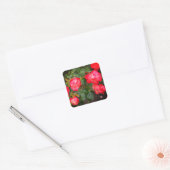 Cherry Parfait Rose #5-1 Stickers (Umschlag)