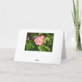 Cherry Parfait Rose Karte (Rückseite)