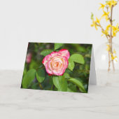 Cherry Parfait Rose Karte (Gelbe Blume)