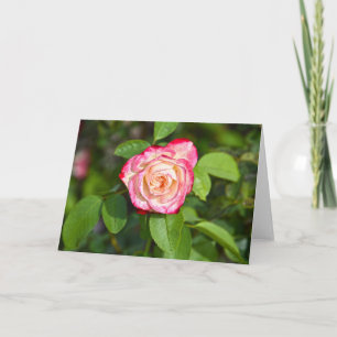 Cherry Parfait Rose Karte