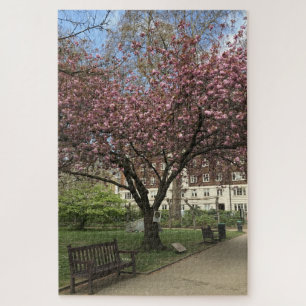 Cherry Peace Tree Tavistock Square London UK Puzzle