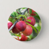 Cherry plum button (Vorderseite)