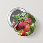 Cherry plum button (Vorne & Hinten)