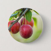 Cherry plum button (Vorderseite)