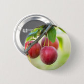 Cherry plum button (Vorne & Hinten)