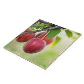 Cherry plum fliese (Seite)