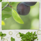 Cherry plum geschirrtuch (Gefaltet)