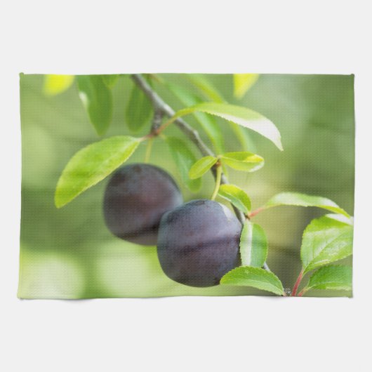 Cherry plum geschirrtuch (Horizontal)