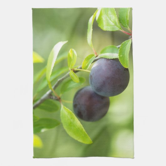 Cherry plum geschirrtuch (Vertikal)