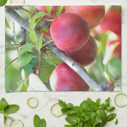 Cherry plum geschirrtuch (Gefaltet)