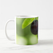 Cherry plum kaffeetasse (Links)