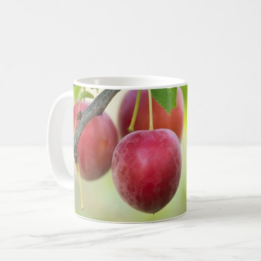 Cherry plum kaffeetasse (Vorderseite Links)