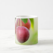 Cherry plum kaffeetasse (Mittel)