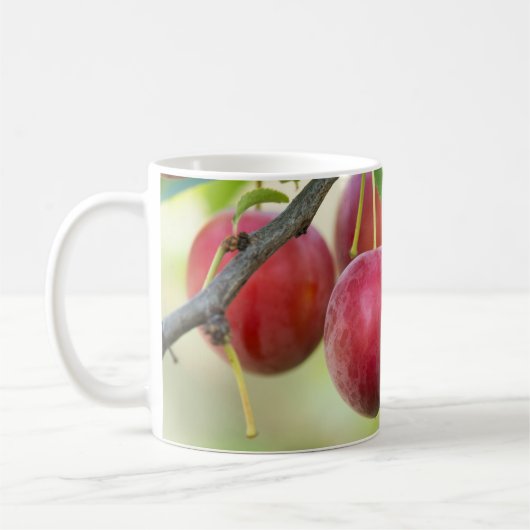 Cherry plum kaffeetasse (Links)