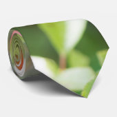 Cherry plum krawatte (Gerollt)