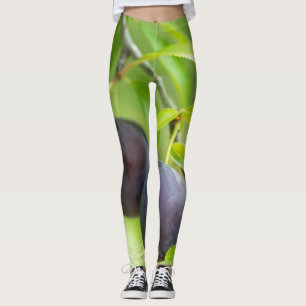 Cherry plum leggings