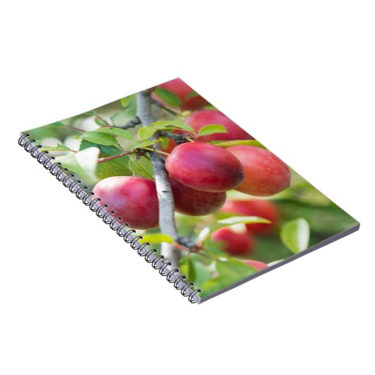 Cherry plum notizblock (Rechte Seite)