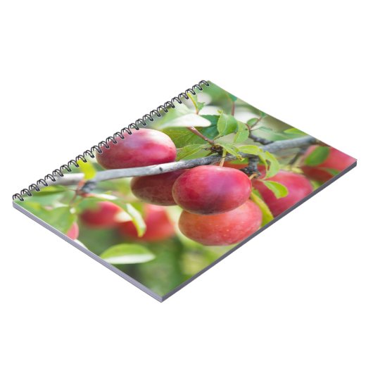 Cherry plum notizblock (Linke Seite)