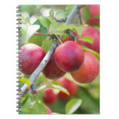 Cherry plum notizblock (Vorderseite)