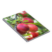 Cherry plum notizblock (Rechte Seite)