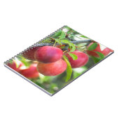 Cherry plum notizblock (Linke Seite)