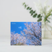 Cherry Plum [Postkarte] Postkarte (Stehend Vorderseite)