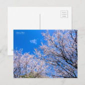 Cherry Plum [Postkarte] Postkarte (Vorne/Hinten)