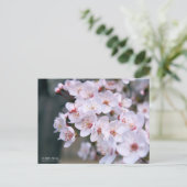 Cherry Plum:Postkarte Postkarte (Stehend Vorderseite)