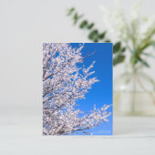 Cherry Plum:Postkarte Postkarte (Stehend Vorderseite)