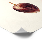 Cherry Plum (Prunus Cerasifera var. Divaricata) Poster (Ecke)