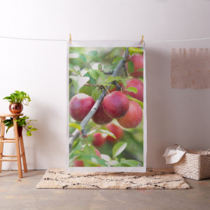 Cherry plum stoff