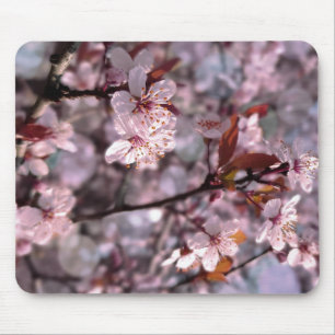 Cherry Plum Tree Pink Mousepad