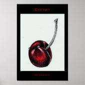 Cherry Poster (Vorne)