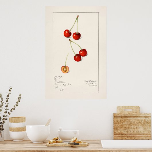 Cherry Poster (Küche)