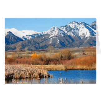 Cherry River by Cynthia Wenslow