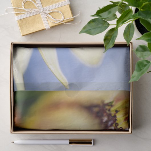 Cherry Rose Sunflower Seidenpapier (Geschenk)