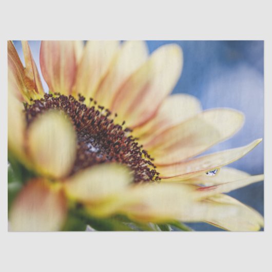 Cherry Rose Sunflower Seidenpapier (Vorderseite)