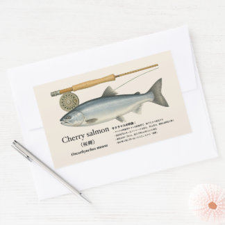 Cherry Salmon (Oncorhynchus maso – Japanese Rechteckiger Aufkleber
