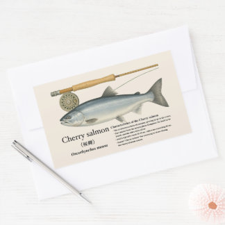 Cherry Salmon (Oncorhynchus masou) – English Rechteckiger Aufkleber