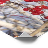 Cherry Snow Cones Poster (Ecke)