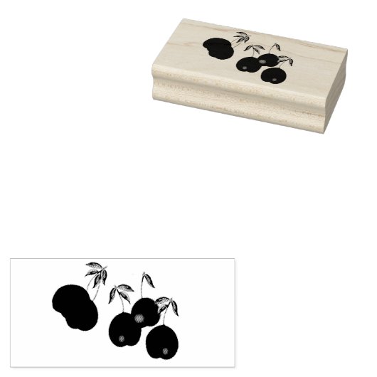 Cherry Stems Art Briefmarke Gummistempel (Stempel)