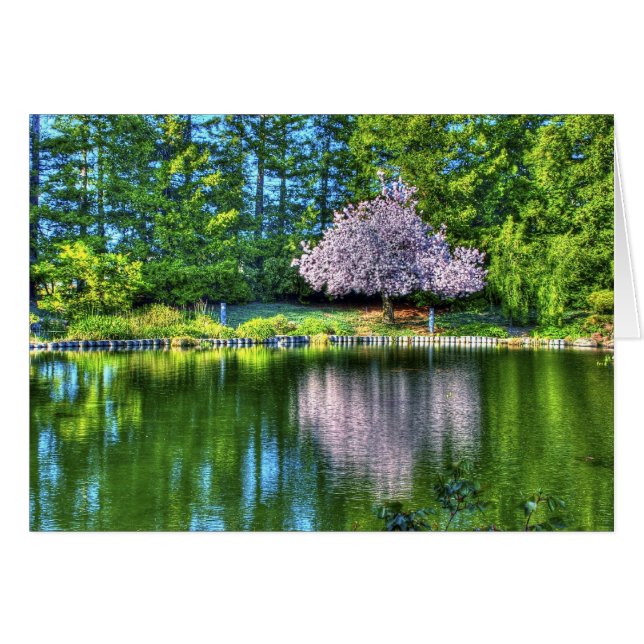 Cherry Tree (Vorderseite (Horizontal))