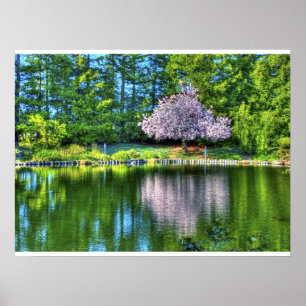 Cherry Tree Blüten Poster