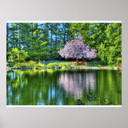 Cherry Tree Blüten Poster (Vorne)