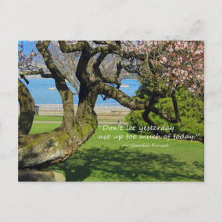 Cherry Tree Cherokee Proverb Postcard Postkarte