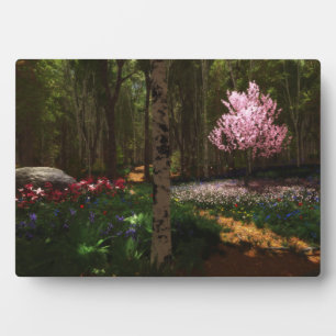 Cherry Tree Concerto Plaque Fotoplatte
