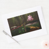 Cherry Tree Concerto Stickers (Umschlag)